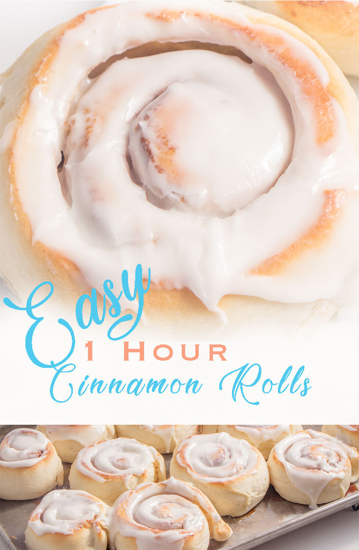 My mouth waters just thinking about these Easy 1 Hour Homemade Cinnamon Rolls. This is a large Cinnamon Roll recipe which is perfect when serving extra family or house guests or surprising your neighbors with a hot batch. The great news is you can also freeze these homemade cinnamon rolls too. #DevourDinner #Bread #Recipe #Recipes #foodie #food #foodblogger #EasyRecipe #easybreadrecipe #buzzfeast #rolls #cinnamonrolls #dinnerrolls #yum #yummy #eat #instantpotrecipe #instantpot #instagood