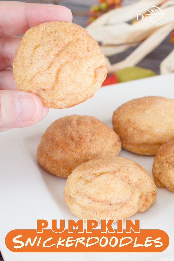 Pumpkin Snickerdoodles. Soft and chewy cookie with a hint of pumpkin in the dough, rolled in Pumpkin Spice and Sugar for a wow of flavors in your mouth. Easy to make cookies will soon become a family tradition when the cool Fall temps come and leaves change. Easy Dessert Recipe. #devourdinner #devourpower #pumpkin #pumpkinsnickerdoodles #pumpkinsnickerdoodlecookies #cookies #easydessert #YummyInMyTummy #onmyplate #foodtime #huffposttaste #foodforthought #abmfoodie #beautifulcuisine
