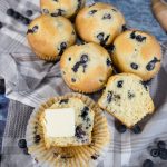 Fresh Blueberry Muffin