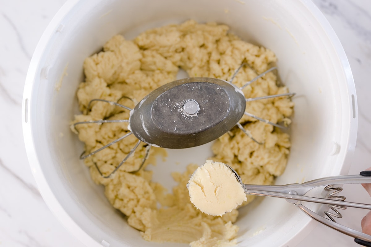 Classic Frosted Sugar Cookie Dough in Bosch Mixer