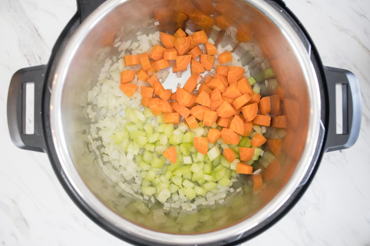 Instant Pot with Onions, Carrots and Celery