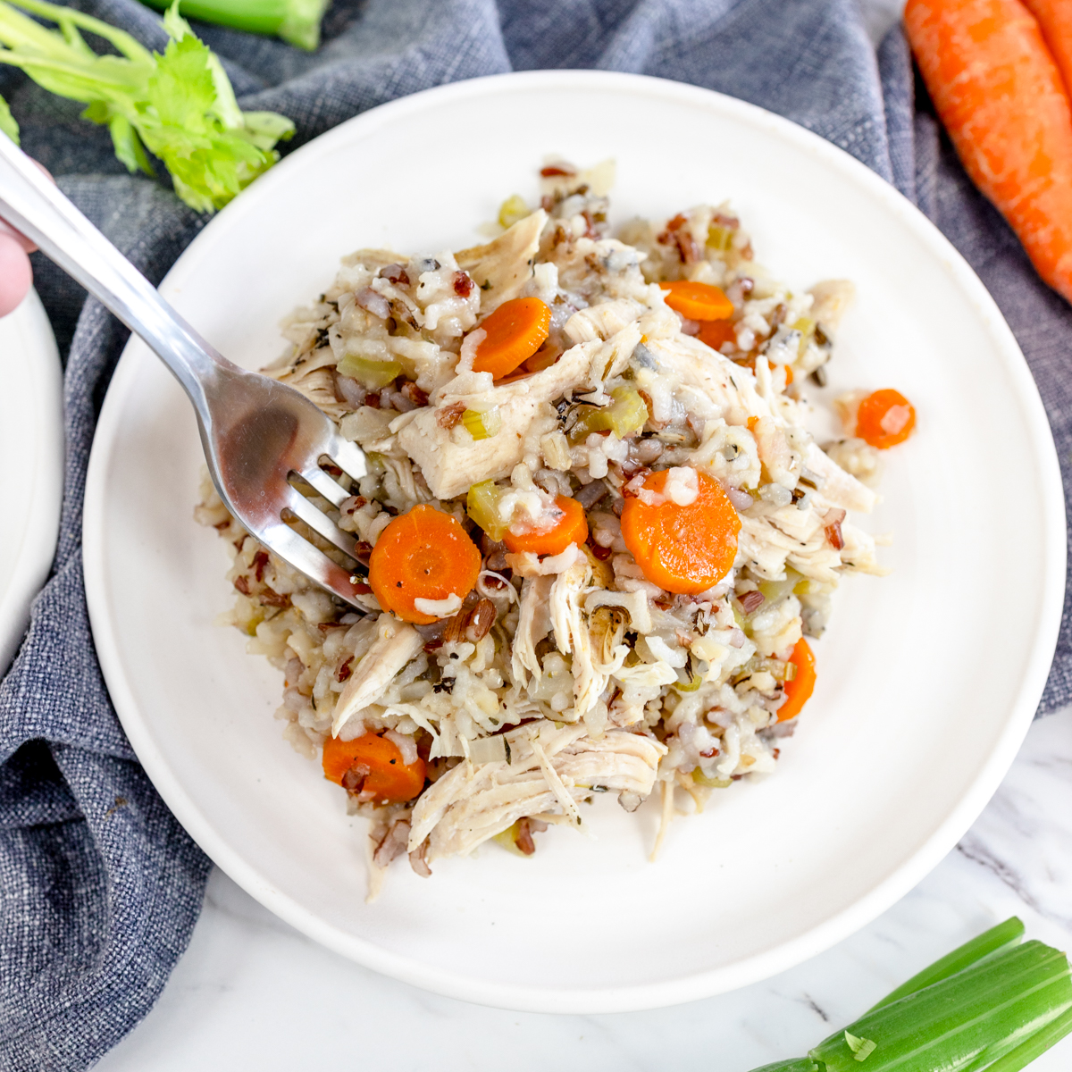 Instant Pot chicken and wild rice