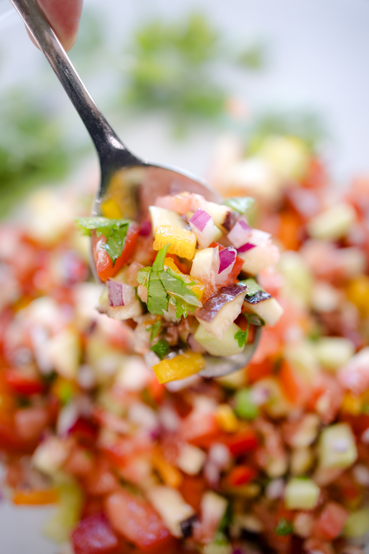 A spoon lifting up some Fig Salsa.