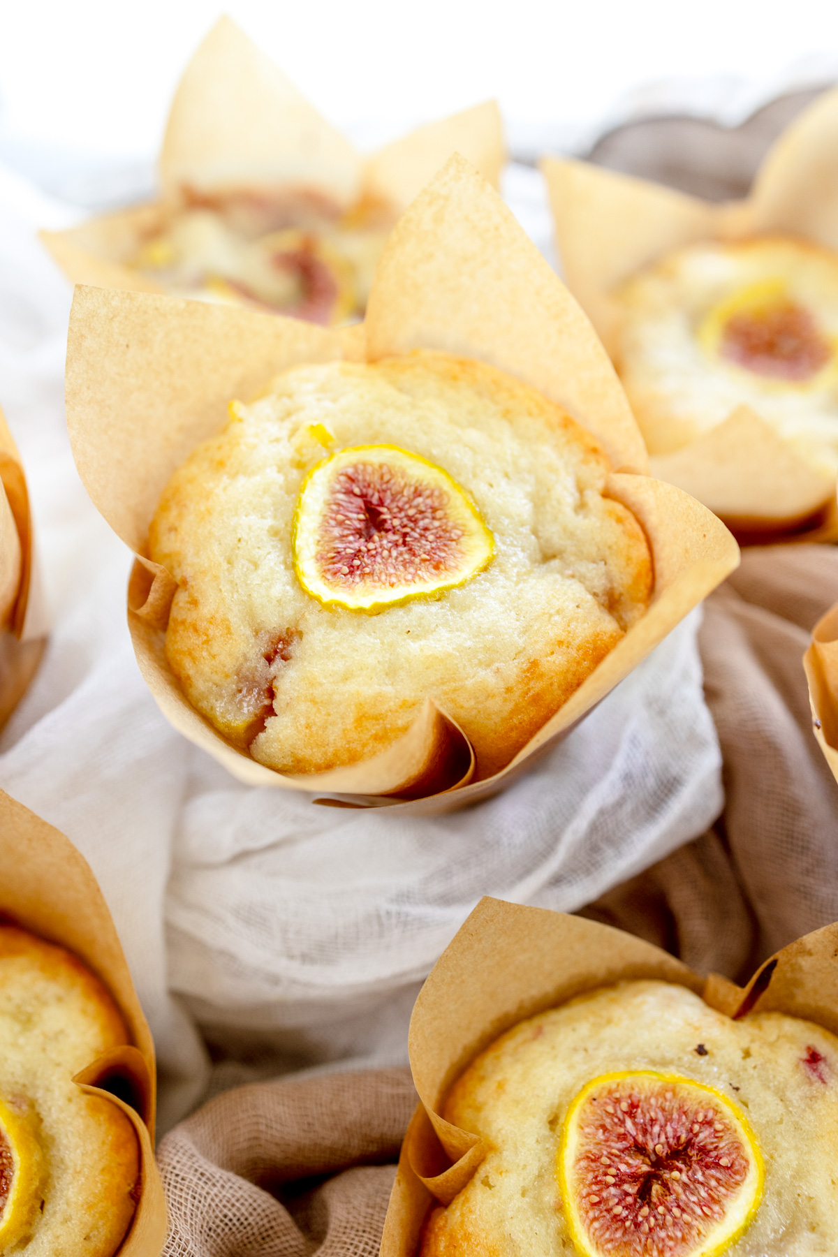 Close up image of fig muffins in muffin cases in a muffin tin a slice of fig on top.
