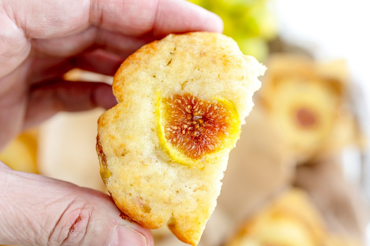Close up of a hand holding a fig muffin that has been sliced in half.