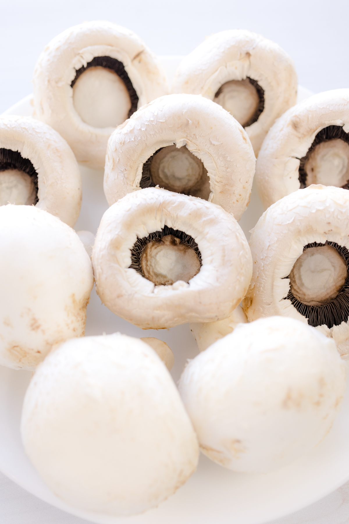 Close up image of white mushrooms on a white pasta dish.
