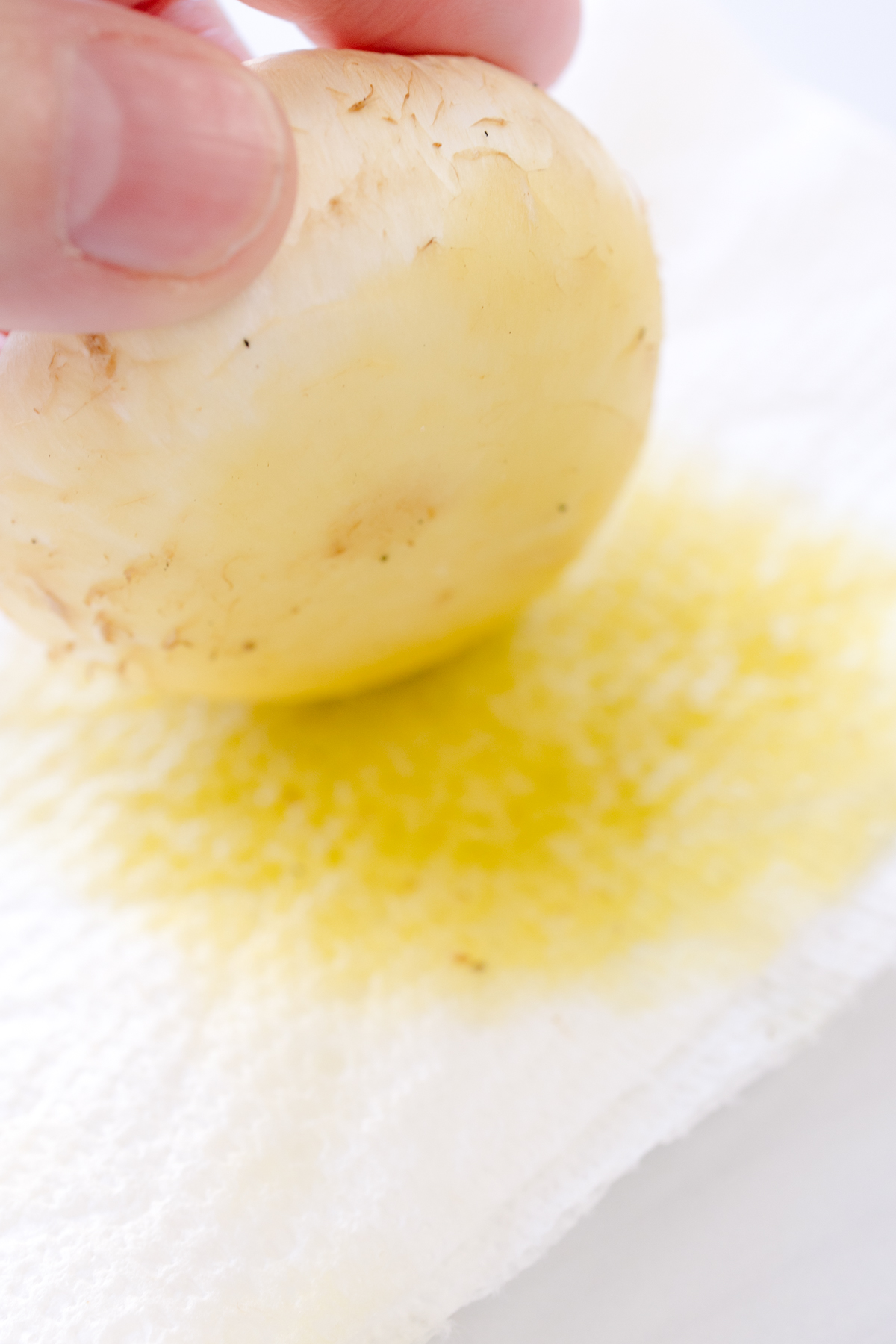 Close up image of a mushroom cap being lightly wiped with olive oil on a paper towel.