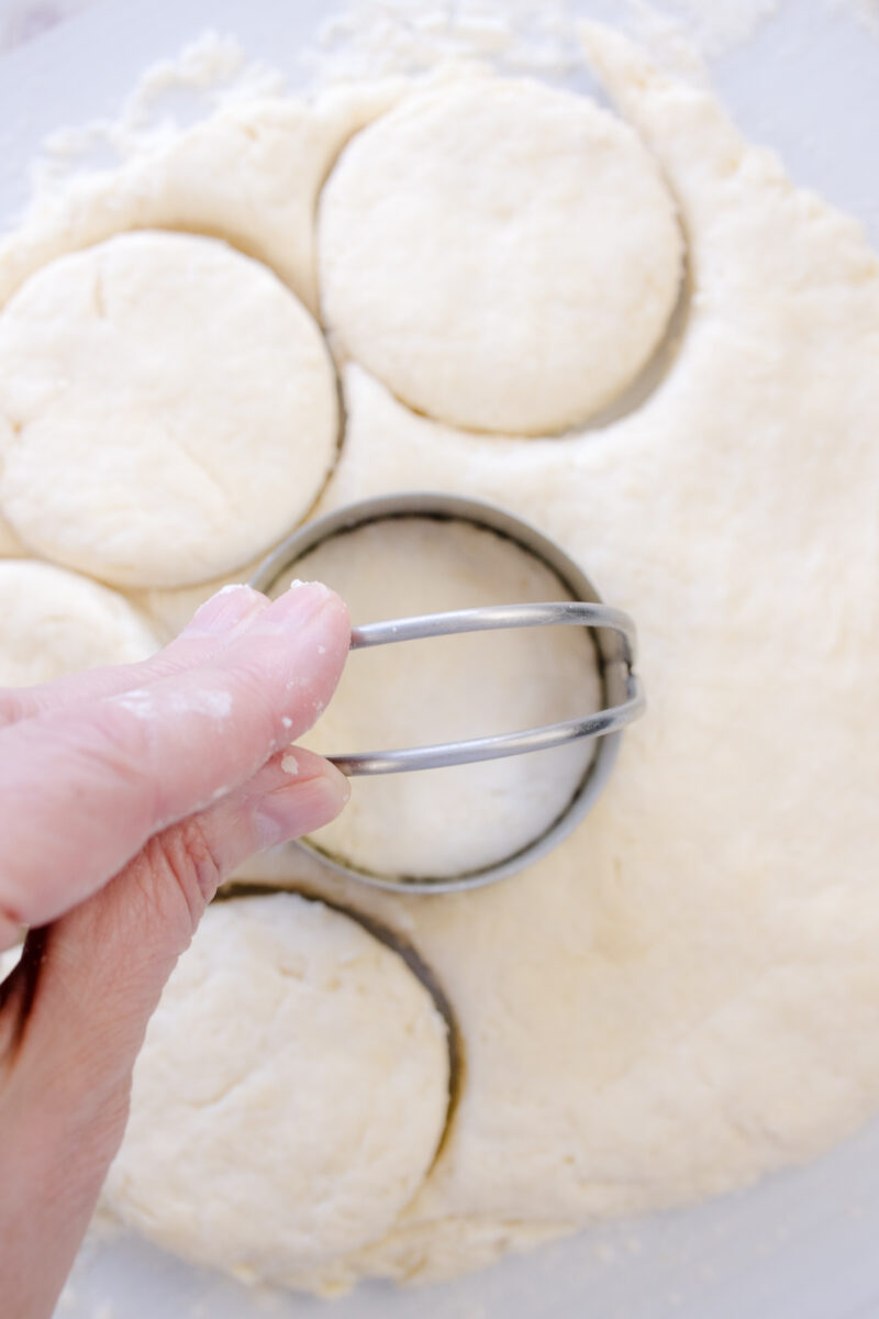 Overhead view of biscuit circles being cut out of the dough.